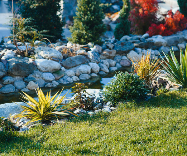 Dry-Creek-Beds
